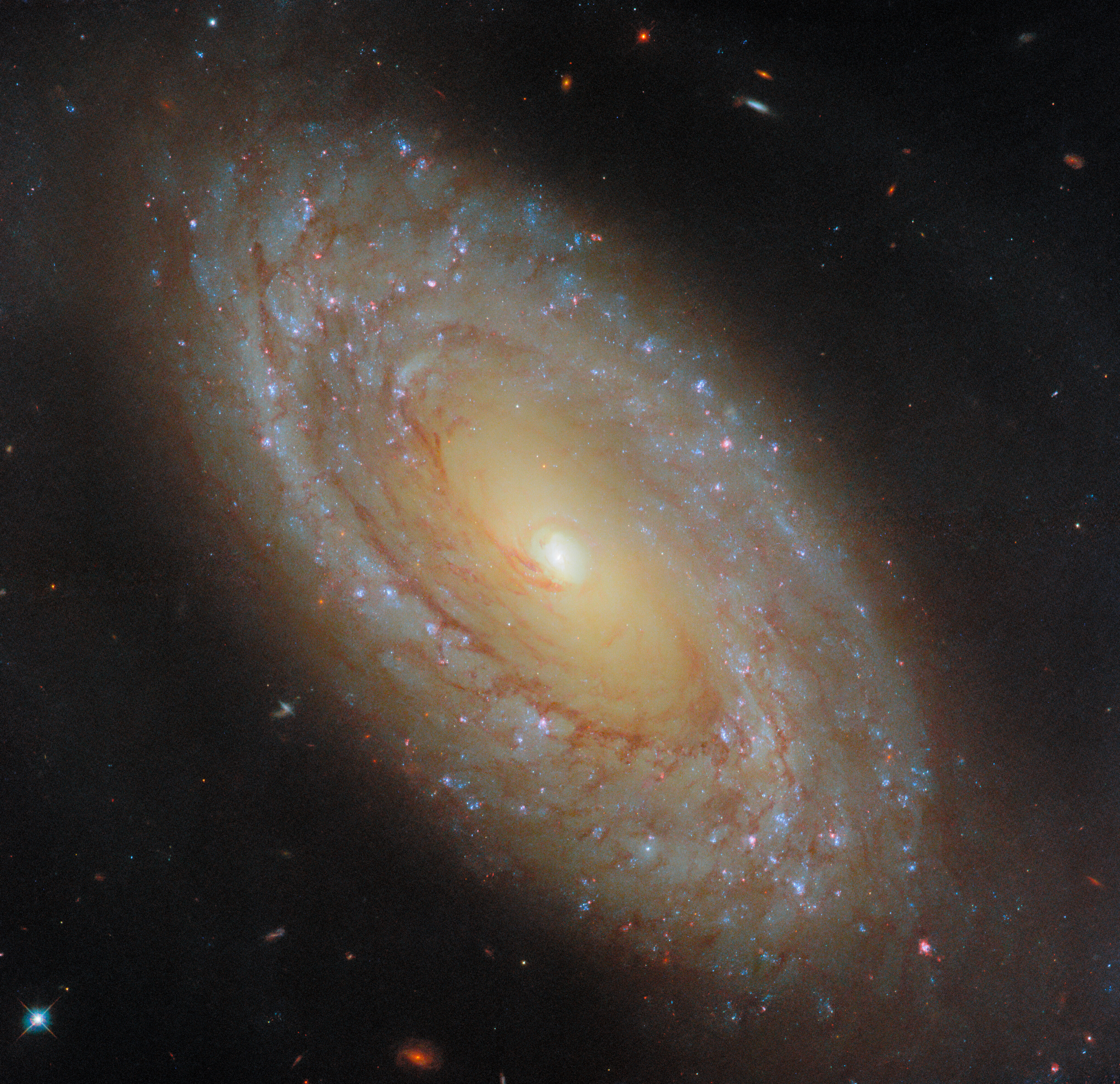 A galaxy that gives great feedback